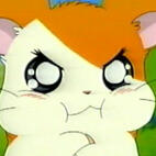 hamtaro