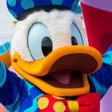 donald duck donald duck